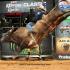 Silvano Alves Wins PBR Express Ranches Classic